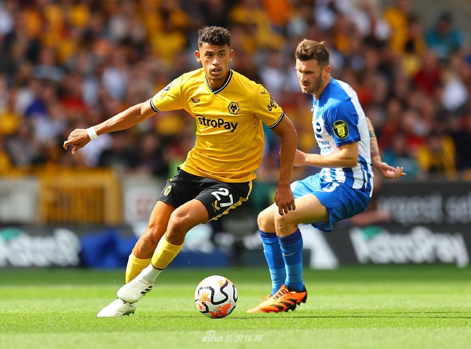 划的重视 划的重视